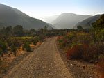 Matilija Creek over night