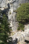 Mist Trail from Nevada Falls. Had a great swim atop the falls, then hiked up to Half Dome trailhead. Tired hikers make the final push to the top of Nevada Falls.