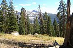 Giant trees and amazing vistas as the Forsythe trail rises 1200 feet in 2 miles. The thin air at 9000 feet makes for a challenging ascent.  