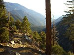 Mt. Baldy