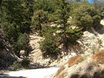 trailhead