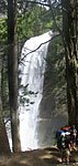 A rare flat spot to pause between giant conifers 
