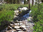 There are several creek crossings where trek poles will keep you dry
