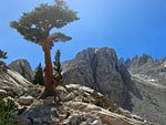 Only a few trees remain as the trail climbs past 10,000 ft.