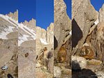 Coming of the marmot