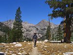 View north on the JMT just above where it crosses Woods Crk. on the suspension bridge