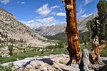 Valley north between Forester and Glen Passes