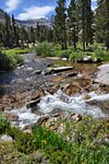 Bubbs Creek