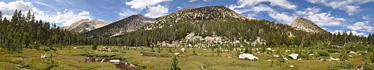 Large primal meadow west of Charlotte Lake. Rivulets and miniature streams wind through the spongy sod