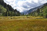 After days of granite and thick forest, the wide, grassy Castle Domes Meadow is a welcome change