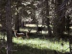 Family breakfast along the John Muir Trail