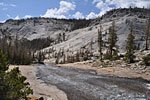 Bankless Fletcher Creek slides down a wide granite slope