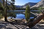 Morning along serene Washburn Lake