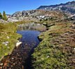 Spongy sod lines the shores of numerous unnamed tarns