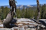 From Merced Pass, northwest to Mt. Starr King (L) and Halfdome