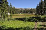 Meadow in the Clark Range