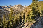 The trail drops north into the Mt. McClure/Mt. Lyell drainage