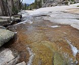 The trail up to Vogelsang follows Lewis Creek, sliding playfully over smooth granite