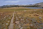 Expansive meadows near Evelyn Lake