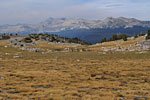 East to the Koip Crest Range above Lyell Canyon