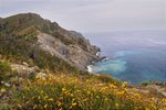 Last look at the western coast