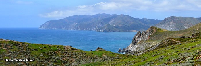 Catalina Island from the Trans Catalina Trail