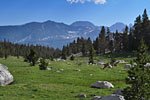 Expansive meadows and lots of wildlife near Crabtree