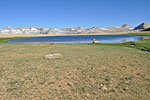 Such a nice lake - so many mosquitoes!