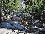 Passing the buck at Rae Lakes