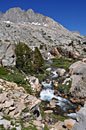 Palisades Creek rushes down from Palisades Lakes and Mather bowl