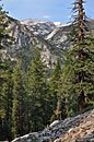No sooner does the JMT climb 1000' to Bear Ridge, then down we go again, 2000' down toward the VVR trail.