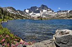 Grassy shores of Garnet Lake