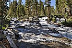 Creek rushing south from Donohue Pass
