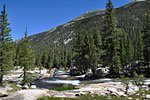 Lyell Creek is lined with flat rocks perfect for a siesta