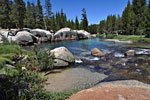 Lyell Creek in Lyell Canyon, a few miles south of Tuolumne Meadows