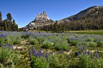 Cathedral Peak in Yosemite