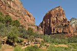 The route to LR follows the West Rim trail to Angel's Landing - one of the most popular hikes in Zion. It starts with a steep climb up the face of this cliff.