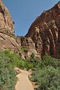 LR is a short but sheer vertical drop out of the right side of the saddle in the center. It's difficult to gauge how big and steep the climb is from a photo.
