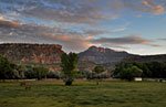 Pasture at dusk in Springdale