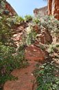 Then a butt-scraping scramble down a vertical trail of loose dirt and slippery rock.