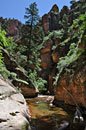 Much of the hike is in the creek bed itself, made easier with our special water shoes.