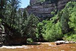 After this wide stretch of open water, the creek bed becomes choked with giant boulders, landslides and overgrowth. Much of the remaining 4 miles are scrambling, boulder-hopping and route-finding. Then, a final strenuous climb to the rim and we're out.