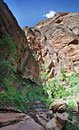 The verticality of this rugged face adds to the drama of a challenging rappel.