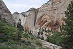 A wide slanted slab drops us into the narrow, overgrown entrance to the canyon.