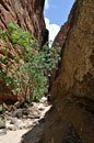 Ropes bagged, we hike shady corridors through the sand to the next drop.