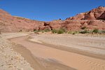 As I proceed north, the river begins to flow stronger. I give up trying to keep my feet dry and end up crossing it dozens of times.