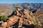 On the way down, I chat with an interpretive Ranger, who's commuting to her job - a week at Phantom Ranch. Perfect weather. It's often hazy, she says.