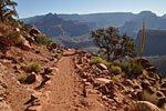 There are quite a few day hikers on the trail, making an early down-and-back to one of the river overlooks before the heat sets in.
