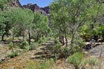 Bright Angel Creek is a welcome oasis after a long, hot descent from the rim. There are 31 shaded tent sites along the cool creek as well as two large group sites. Phantom Ranch is 1/4 mile upstream. View south toward the river.