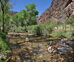 The Park Service encourages hikers to loll about in the stream, building pools in which to cool off. The stream will revert to it's natural state in the winter. By mid-afternoon, the thermometer shows 107 degrees.